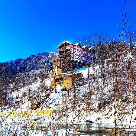 Gutsulska Rodzynka Hotel Yaremche Exterior photo